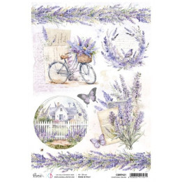 copy of 